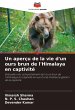 Un aperçu de la vie d'un ours brun de... - Bild 1