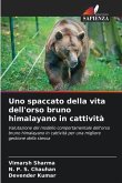 Uno spaccato della vita dell'orso bruno himalayano in cattività