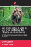 Um olhar sobre a vida de um urso castanho dos Himalaias em cativeiro