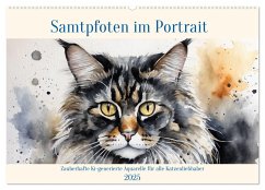 Samtpfoten im Portrait (Wandkalender 2025 DIN A2 quer), CALVENDO Monatskalender