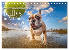 Bullys in Action - Französische Bulldoggen lieben Bälle (Tischkalender 2025 DIN A5 quer), CALVENDO Monatskalender - Calvendo;Verena Scholze, Fotodesign