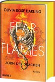 Zorn der Drachen / Fear the Flames Bd.1