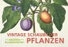 Postkarten-Set Vintage-Schaubilder... - Bild 1