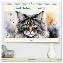 Samtpfoten im Portrait (hochwertiger Premium Wandkalender 2025 DIN A2 quer), Kunstdruck in Hochglanz