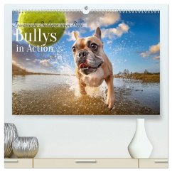 Bullys in Action - Französische Bulldoggen lieben Bälle (hochwertiger Premium Wandkalender 2025 DIN A2 quer), Kunstdruck in Hochglanz - Calvendo;Verena Scholze, Fotodesign