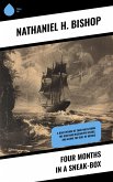 Four Months in a Sneak-Box (eBook, ePUB) Four Months in a Sneak-Box (eBook, ePUB)