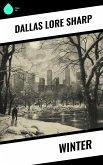 Winter (eBook, ePUB)