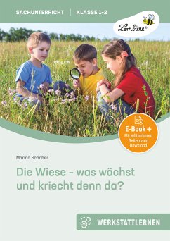 Die Wiese - was wächst und kriecht denn da? (eBook, PDF) - Schober, Marina