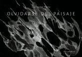 Olvidarse del paisaje (eBook, ePUB) Olvidarse del paisaje (eBook, ePUB)