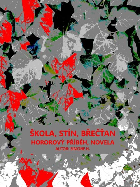 skola, stín, brectan (eBook, ePUB)