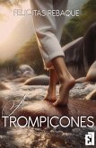 A trompicones (eBook, ePUB)