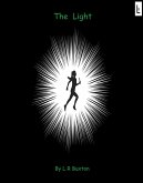 The Light (eBook, ePUB)