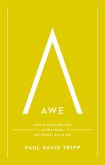 Awe (eBook, ePUB)