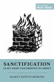 Sanctification as Set Apart and Growing in Christ (eBook, ePUB)