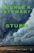 Sturm (eBook, ePUB) - Bild 1