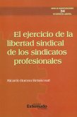 El ejercicio de la libertad sindical de los sindicatos profesionales (eBook, ePUB)