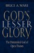 God's Lesser Glory (eBook, ePUB) - Bild 1