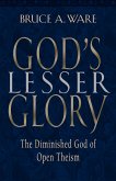 God's Lesser Glory (eBook, ePUB)