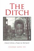 The Ditch (eBook, ePUB)