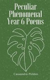 Peculiar Phenomenal Year 6 Poems