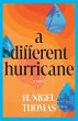 A Different Hurricane - Bild 1