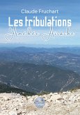 Les tribulations d'Amédée Airache