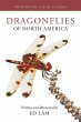 Dragonflies of North America - Bild 1
