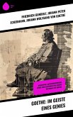 Goethe: Im Geiste eines Genies (eBook, ePUB)