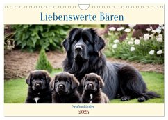 Neufundländer - Liebenswerte Bären (Wandkalender 2025 DIN A4 quer), CALVENDO Monatskalender
