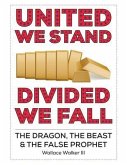 United We Stand Divided We Fall (eBook, ePUB)