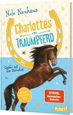 Gefahr auf dem Reiterhof / Charlottes Traumpferd Bd.2