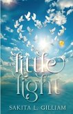 This Little Light (eBook, ePUB)