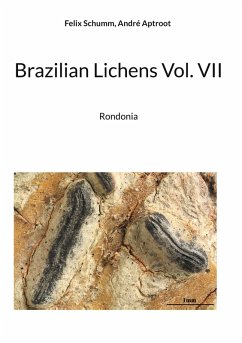 Brazilian Lichens Vol. VII (eBook, ePUB)