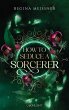 How to Seduce a Sorcerer (eBook, ePUB) - Bild 1