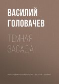 Темная засада (eBook, ePUB)