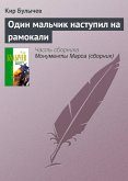 Один мальчик наступил на рамокали (eBook, ePUB)