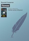 Pomnyu (eBook, ePUB)
