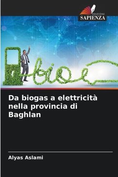 Da biogas a elettricità nella provincia di Baghlan - Aslami, Alyas