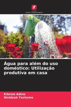 Água para além do uso doméstico: Utilização produtiva em casa - Adino, Kibrom;Teshome, Woldeab