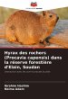 Hyrax des rochers (Procavia capensis)... - Bild 1