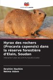 Hyrax des rochers (Procavia capensis) dans la réserve forestière d'Elain, Soudan