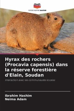 Hyrax des rochers (Procavia capensis) dans la réserve forestière d'Elain, Soudan - Hashim, Ibrahim;Adam, Neima