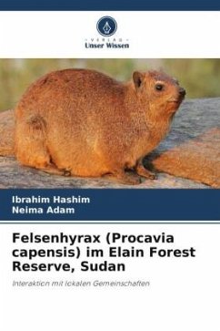 Felsenhyrax (Procavia capensis) im Elain Forest Reserve, Sudan - Hashim, Ibrahim;Adam, Neima