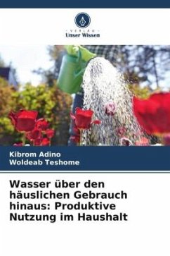 Wasser über den häuslichen Gebrauch hinaus: Produktive Nutzung im Haushalt - Adino, Kibrom;Teshome, Woldeab