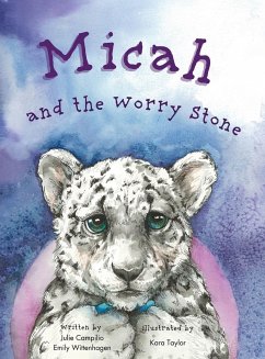 Micah and the Worry Stone - Campilio, Julie; Wittenhagen, Emily