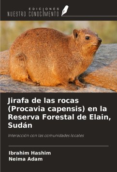 Jirafa de las rocas (Procavia capensis) en la Reserva Forestal de Elain, Sudán - Hashim, Ibrahim; Adam, Neima