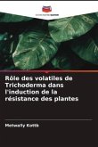 Rôle des volatiles de Trichoderma dans l'induction de la résistance des plantes