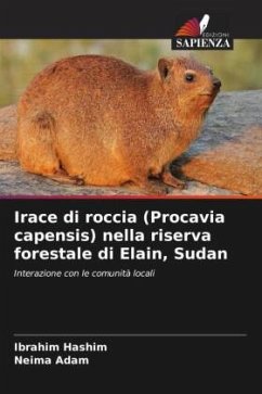 Irace di roccia (Procavia capensis) nella riserva forestale di Elain, Sudan - Hashim, Ibrahim;Adam, Neima