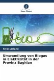 Umwandlung von Biogas in Elektrizität in der Provinz Baghlan