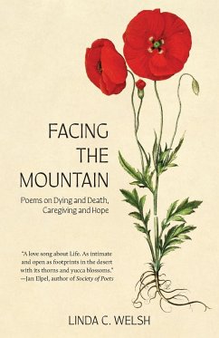 Facing the Mountain - Welsh, Linda C.